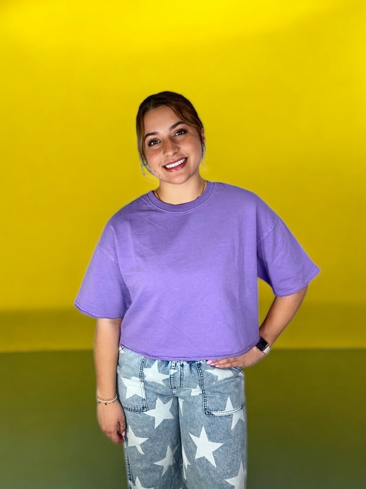 Light Purple Crop Top