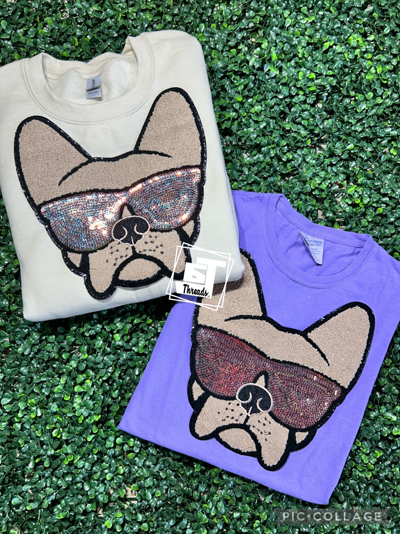Frenchie with Sunglasses