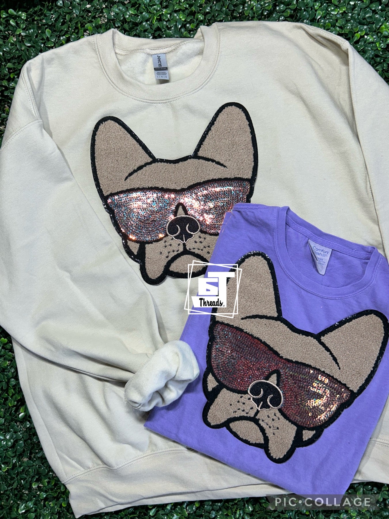 frenchie with sunglasses patch on sand sweatshirt and purple shirt