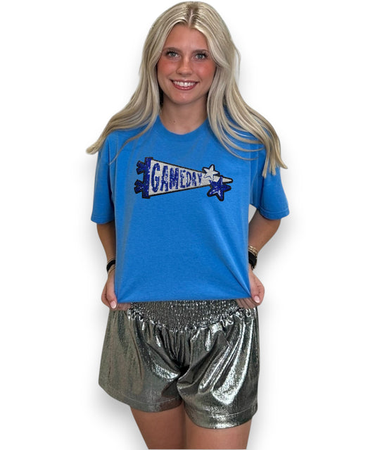 Royal Blue Sequin Gameday Pennant